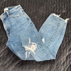 Abercrombie & Fitch High Rise Mom Jean Curve Love